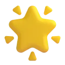 🌟